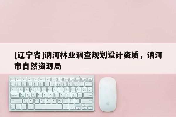 [辽宁省]讷河林业调查规划设计资质，讷河市自然资源局