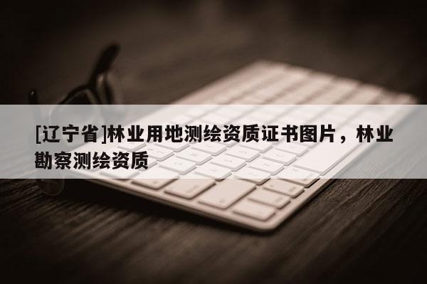 [辽宁省]林业用地测绘资质证书图片，林业勘察测绘资质