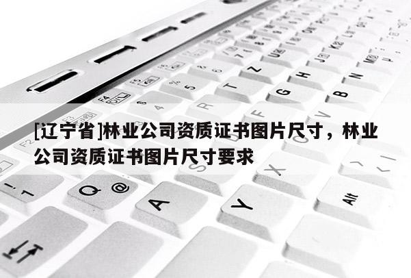 [辽宁省]林业公司资质证书图片尺寸，林业公司资质证书图片尺寸要求