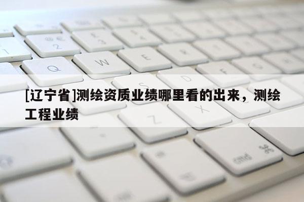 [辽宁省]测绘资质业绩哪里看的出来，测绘工程业绩