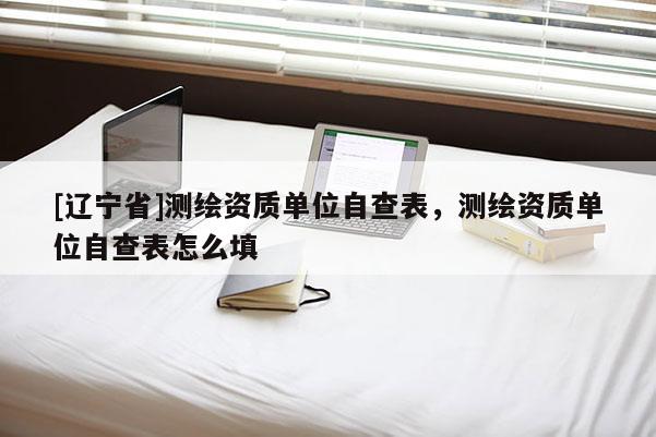 [辽宁省]测绘资质单位自查表，测绘资质单位自查表怎么填