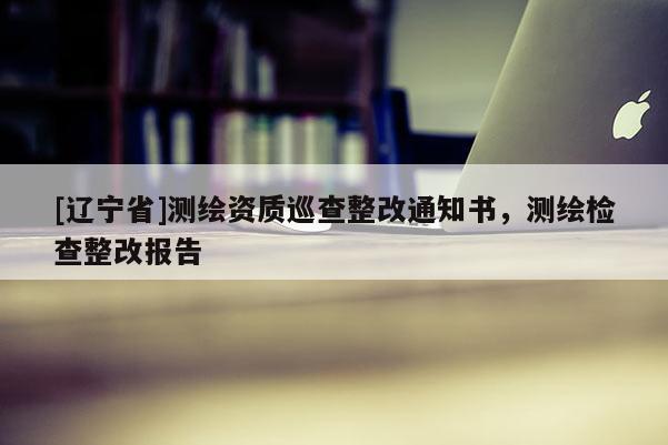 [辽宁省]测绘资质巡查整改通知书，测绘检查整改报告