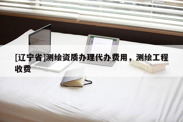 [辽宁省]测绘资质办理代办费用，测绘工程收费