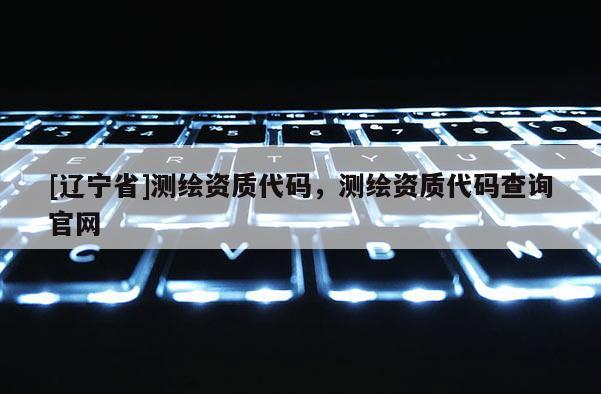 [辽宁省]测绘资质代码，测绘资质代码查询官网
