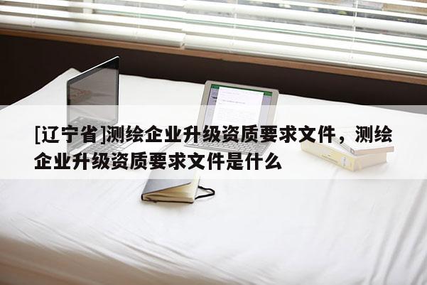 [辽宁省]测绘企业升级资质要求文件，测绘企业升级资质要求文件是什么
