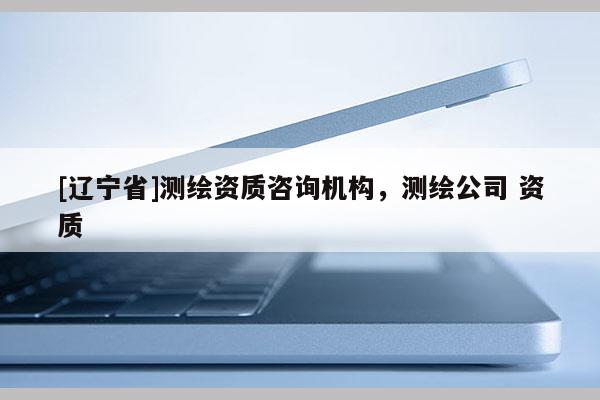 [辽宁省]测绘资质咨询机构，测绘公司 资质
