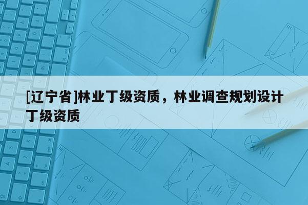 [辽宁省]林业丁级资质，林业调查规划设计丁级资质