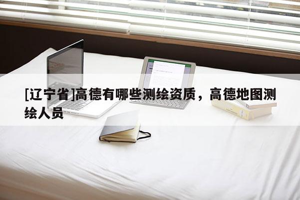 [辽宁省]高德有哪些测绘资质，高德地图测绘人员