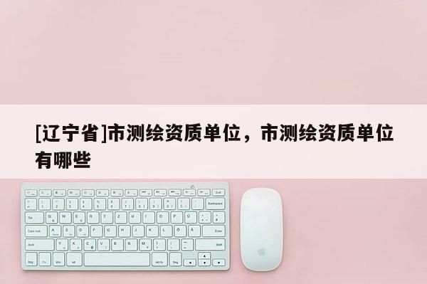 [辽宁省]市测绘资质单位，市测绘资质单位有哪些