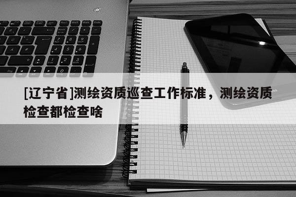 [辽宁省]测绘资质巡查工作标准，测绘资质检查都检查啥
