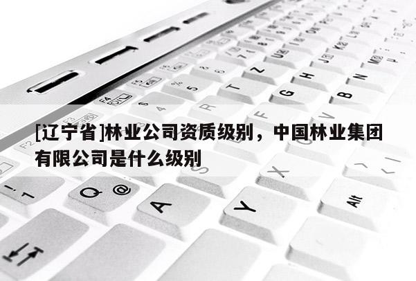[辽宁省]林业公司资质级别，中国林业集团有限公司是什么级别