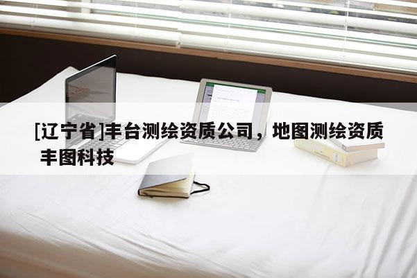 [辽宁省]丰台测绘资质公司，地图测绘资质 丰图科技