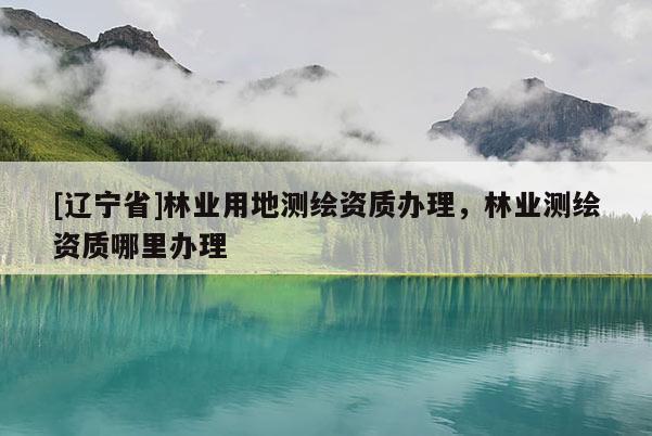 [辽宁省]林业用地测绘资质办理，林业测绘资质哪里办理