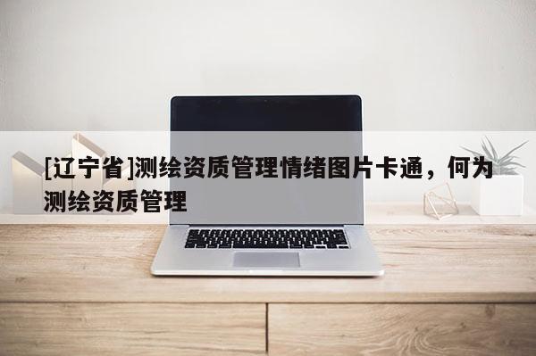 [辽宁省]测绘资质管理情绪图片卡通，何为测绘资质管理