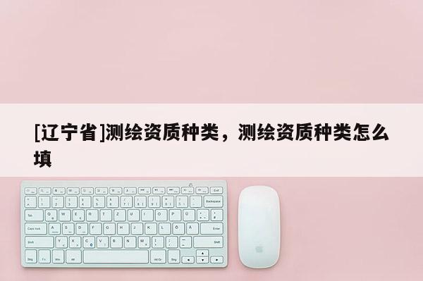 [辽宁省]测绘资质种类，测绘资质种类怎么填