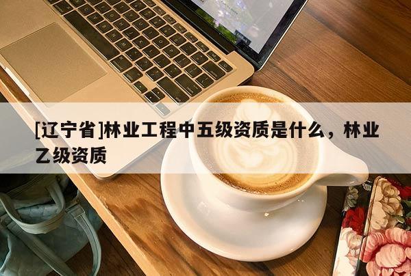 [辽宁省]林业工程中五级资质是什么，林业乙级资质