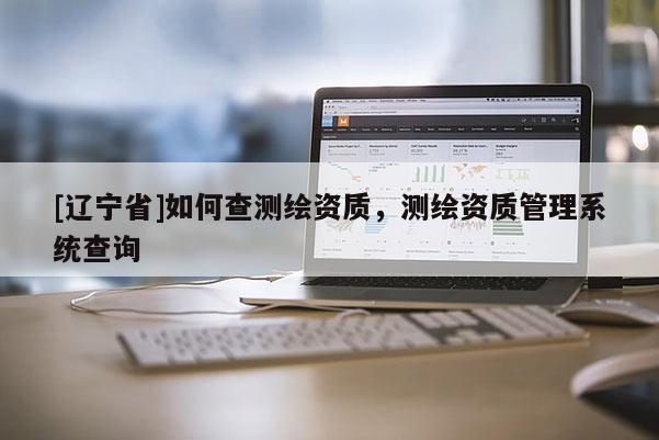 [辽宁省]如何查测绘资质，测绘资质管理系统查询