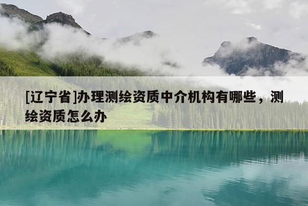 [辽宁省]办理测绘资质中介机构有哪些，测绘资质怎么办