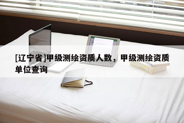 [辽宁省]甲级测绘资质人数，甲级测绘资质单位查询