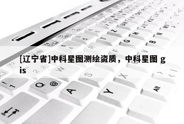 [辽宁省]中科星图测绘资质，中科星图 gis