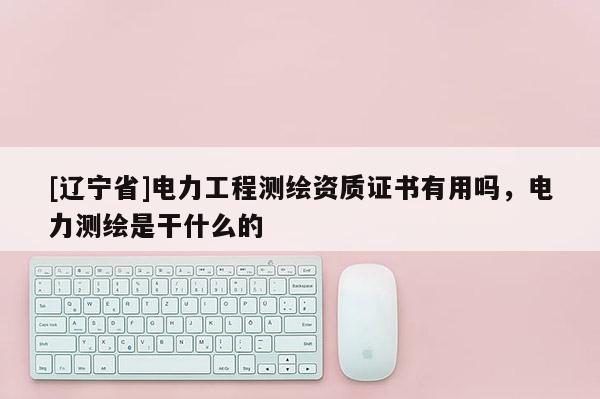 [辽宁省]电力工程测绘资质证书有用吗，电力测绘是干什么的