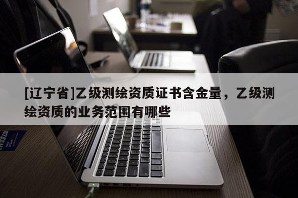 [辽宁省]乙级测绘资质证书含金量，乙级测绘资质的业务范围有哪些