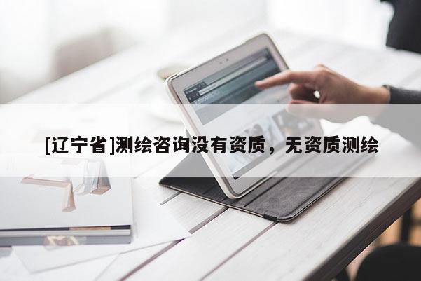 [辽宁省]测绘咨询没有资质，无资质测绘