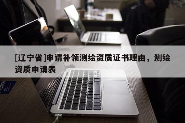 [辽宁省]申请补领测绘资质证书理由，测绘资质申请表