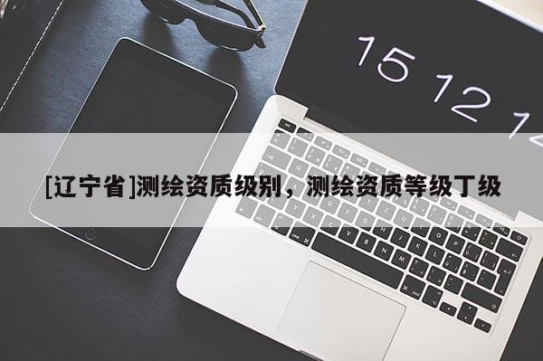 [辽宁省]测绘资质级别，测绘资质等级丁级