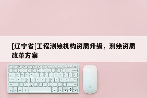 [辽宁省]工程测绘机构资质升级，测绘资质改革方案