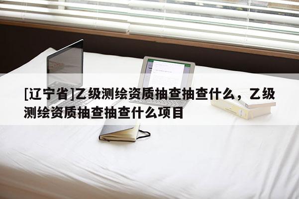 [辽宁省]乙级测绘资质抽查抽查什么，乙级测绘资质抽查抽查什么项目