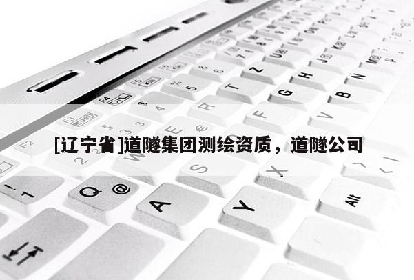 [辽宁省]道隧集团测绘资质，道隧公司