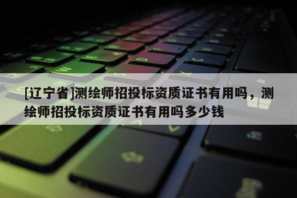 [辽宁省]测绘师招投标资质证书有用吗，测绘师招投标资质证书有用吗多少钱