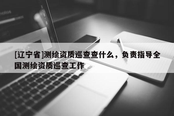 [辽宁省]测绘资质巡查查什么，负责指导全国测绘资质巡查工作