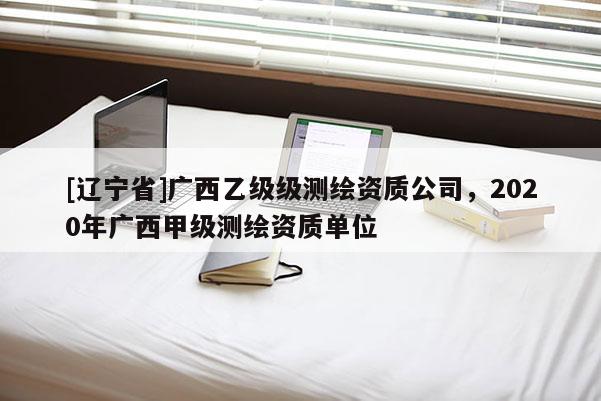 [辽宁省]广西乙级级测绘资质公司，2020年广西甲级测绘资质单位