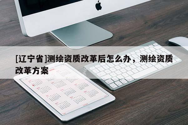 [辽宁省]测绘资质改革后怎么办，测绘资质改革方案