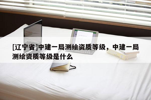 [辽宁省]中建一局测绘资质等级，中建一局测绘资质等级是什么