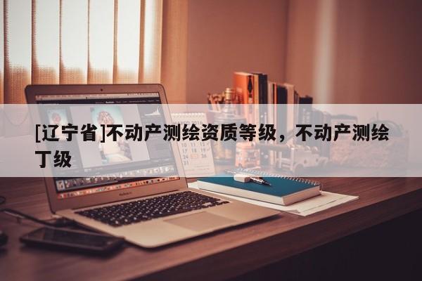 [辽宁省]不动产测绘资质等级，不动产测绘丁级