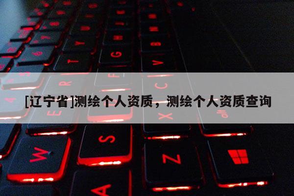 [辽宁省]测绘个人资质，测绘个人资质查询