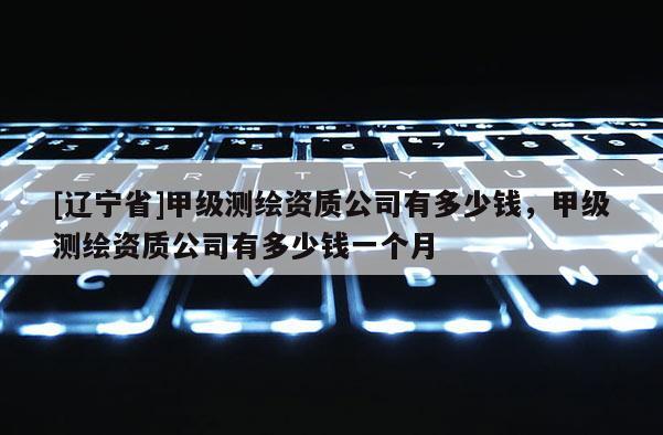 [辽宁省]甲级测绘资质公司有多少钱，甲级测绘资质公司有多少钱一个月