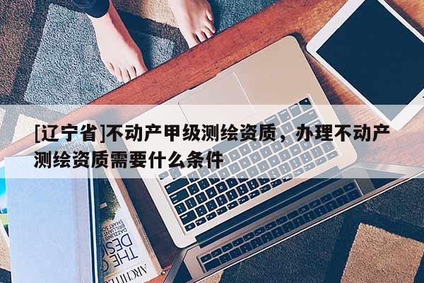 [辽宁省]不动产甲级测绘资质，办理不动产测绘资质需要什么条件