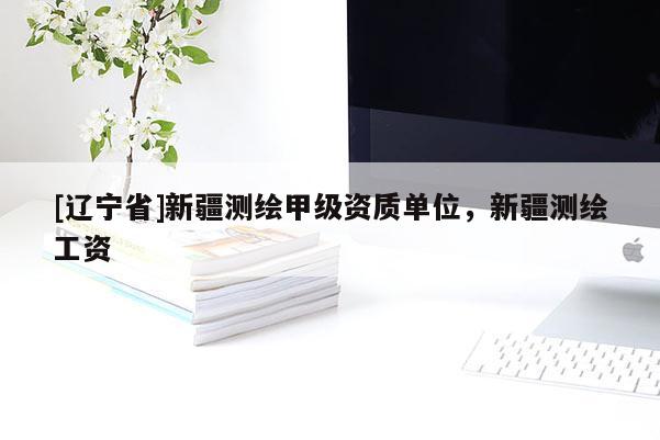 [辽宁省]新疆测绘甲级资质单位，新疆测绘工资