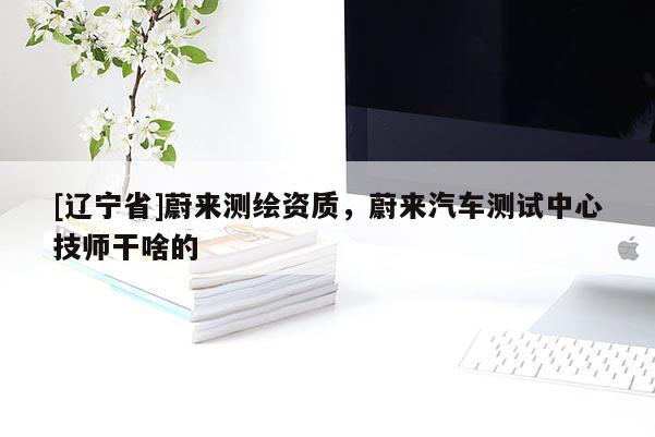 [辽宁省]蔚来测绘资质，蔚来汽车测试中心技师干啥的