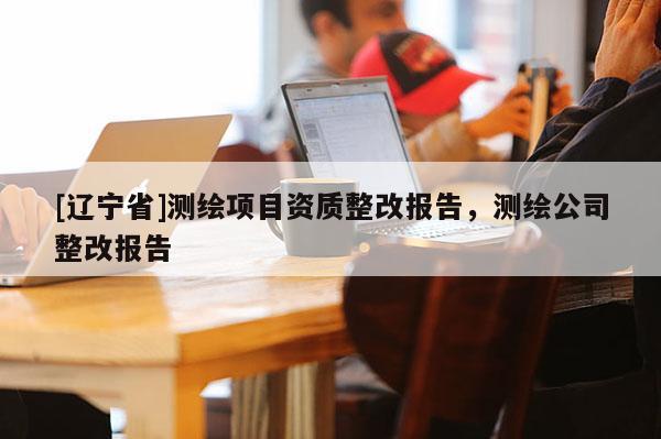 [辽宁省]测绘项目资质整改报告，测绘公司整改报告