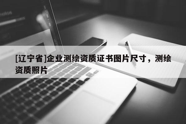 [辽宁省]企业测绘资质证书图片尺寸，测绘资质照片