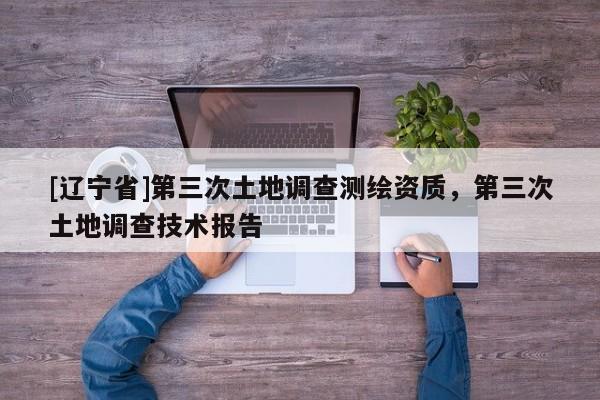 [辽宁省]第三次土地调查测绘资质，第三次土地调查技术报告