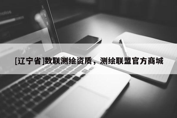 [辽宁省]数联测绘资质，测绘联盟官方商城