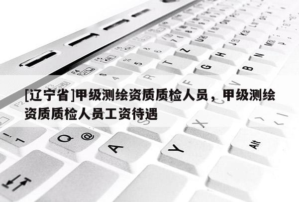 [辽宁省]甲级测绘资质质检人员，甲级测绘资质质检人员工资待遇