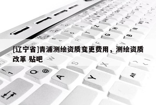 [辽宁省]青浦测绘资质变更费用，测绘资质改革 贴吧