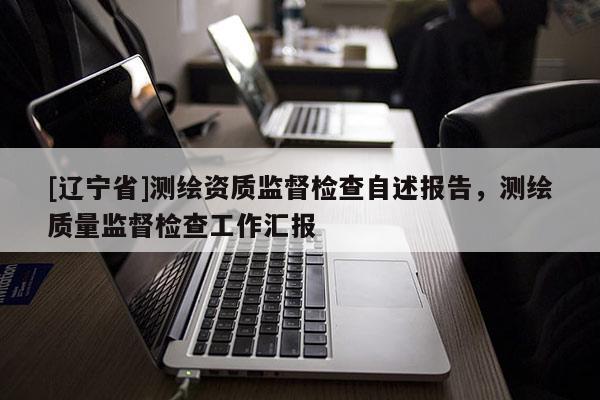 [辽宁省]测绘资质监督检查自述报告，测绘质量监督检查工作汇报